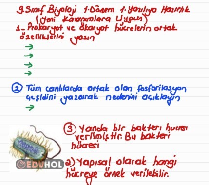 9. SINIF BİYOLOJİ 1.DÖNEM 1.YAZILI ÖRNEĞİ  2023-2024 ( YENİ KAZANIMLARA UYGUN)