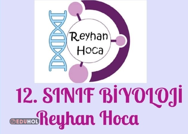 Bitkisel Hormonlar- 12. Sınıf Biyoloji