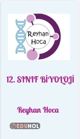 Fotosentez pdf- 12. Sınıf