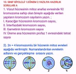 10. SINIF BİYOLOJİ 1.DÖNEM 2.YAZILIYA HAZIRLIK-A ( 2023-2024)