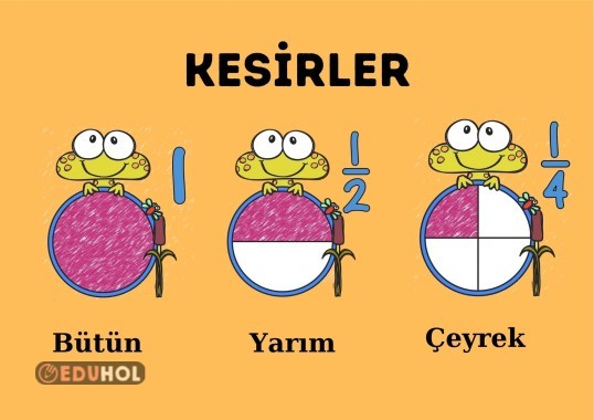 Kesirler Pano · Eduhol - Etkinlik İndir Oyun Oyna Test Çöz Video İzle