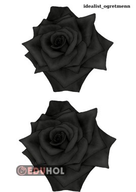 10 KASIM PANOSU SİYAH GÜLLER