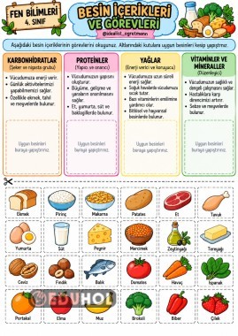 BESİN İÇERİKLERİ KES YAPIŞTIR
