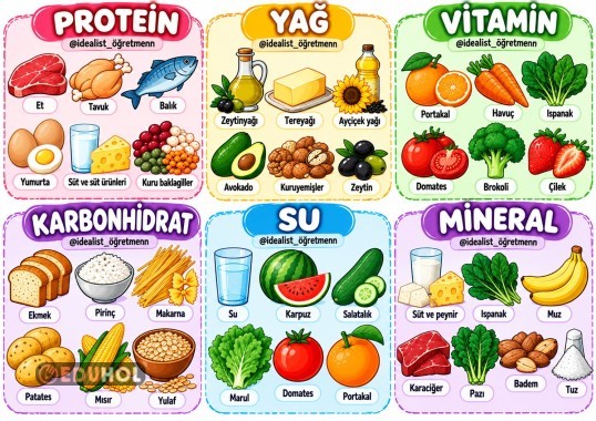BESİN İÇERİKLERİ ÖRNEKLERİ