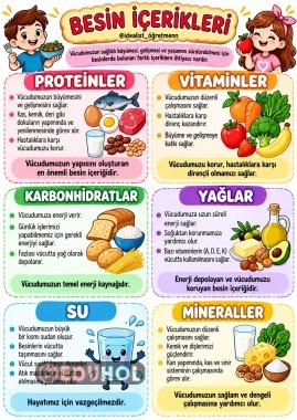 BESİN İÇERİKLERİ