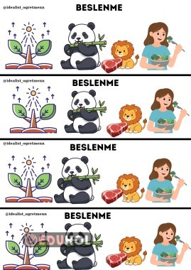 Canlıların Ortak Özellikleri -Beslenme