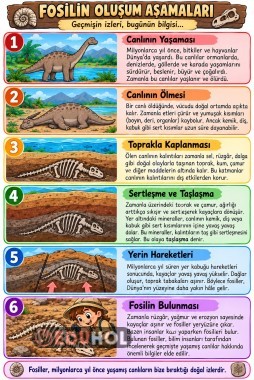 Fosilin Oluşum Aşamaları Deftere Yapıştırma