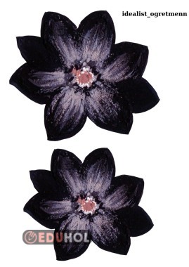 PANO İÇİN SİYAH ÇİÇEK-10 KASIM