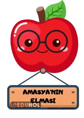 YERLİ MALI AMASYA'NIN ELMASI