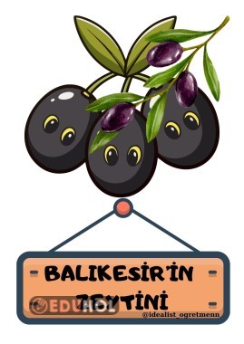 Yerli Malı-Balıkesir Zeytini
