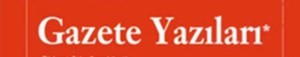 gazete örneği