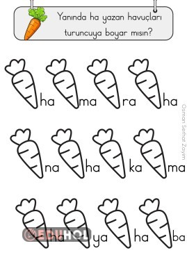 Özel Eğitim, BASARA, ha Hecesi Ayırt Etme Çalışması