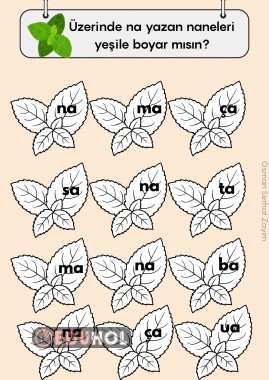 Özel Eğitim, BASARA, na hecesi ayırt etme çalışması