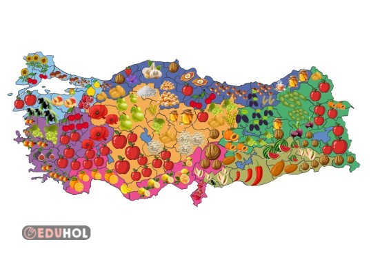 Yerli Malı Haritası