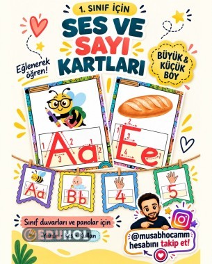 Renkli Dikkat Çekici Ses ve Rakam Kartları