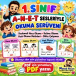 A-N-E-T Sesleri Hece Okuma ve Dikte