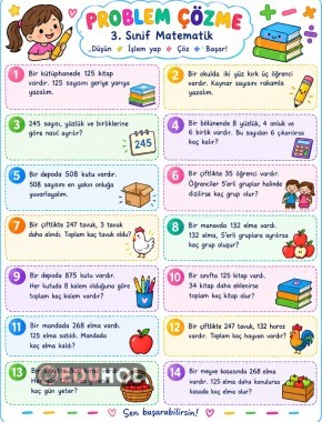 3.sınıf problemler 1
