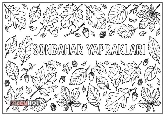 Sonbahar yaprakları boyama sayfası