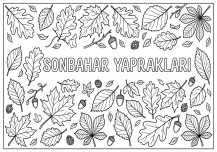 Sonbahar yaprakları boyama sayfası