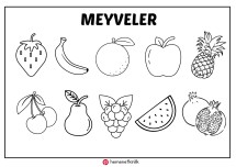 Meyveler