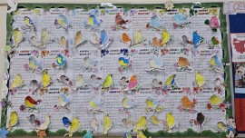 Baharda Kuşlar Gibi Etkinliği