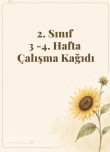 3-4. Hafta Çalışma Kağıdı