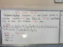 Dil Bilgisi- Ses Harf Bilgisi Defter Notu