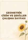 Gemetrik Cisim ve Şekiller Genel Çalışma Sayfası