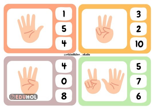 RAKAMLAR ( PANO) FLASH KARTLAR