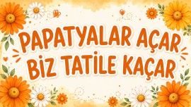Akıllı tahta için tatil görseli…