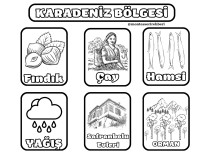 KARADENİZ BÖLGESİ
