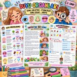 Duyu Organlarımız