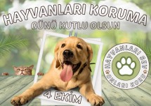 4 EKİM HAYVANLARI KORUMA GÜNÜ BOYAMA ÇALIŞMASI