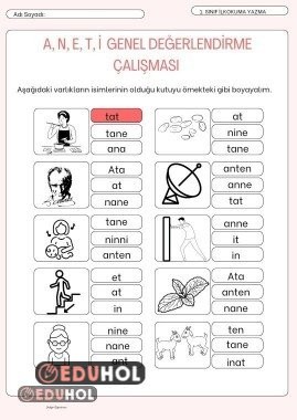 A,N,E,T,İ Genel Değerlendirme Çalışması