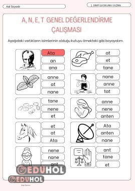 Anet Genel Değerlendirme Çalışması