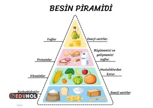 Besin Piramidi pano veya defter için şablon