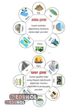 Doğal Yapay Çevre interaktif defter çalışması renkli