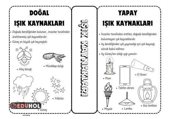 Işık Kaynakları İnteraktif Defter Çalışması renksiz