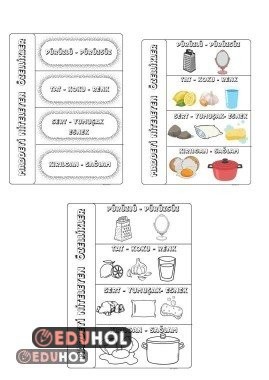Maddeyi Niteleyen Özellikler interaktif defter çalışması