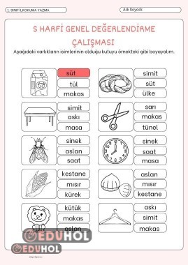 S harfi genel değerlendirme çalışması