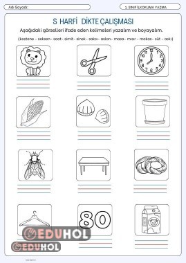 S harfi görsel dikte çalışması