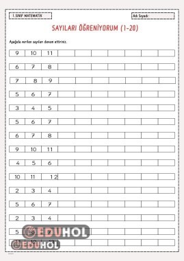 Sayıları Pekiştirme Çalışması ( 1 ile 20 arası)