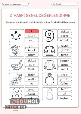 Z Harfi Değerlendirme Çalışması