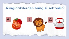 Okumaya Geçtim Etkinlikleri