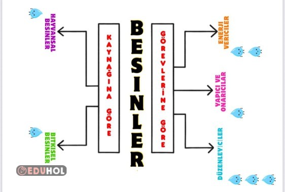 BESİNLER SINIFLANDIRMA KAVRAM HARİTASI