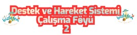 Destek ve Hareket Sistemi Çalışma Föyü 2