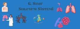 Solunum Online Test 1