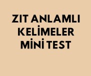 ZIT ANLAMLI KELİMELER MİNİ TEST