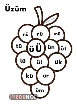Ü sesi üzüm