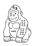 G harfi goril